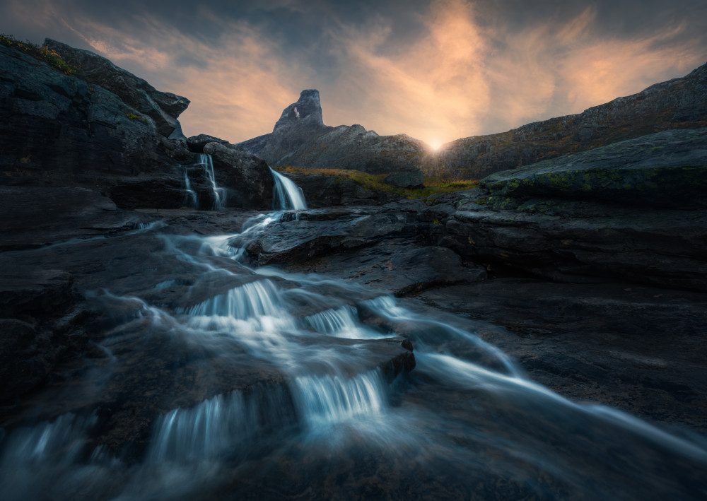 His Majesty von Ole Henrik Skjelstad