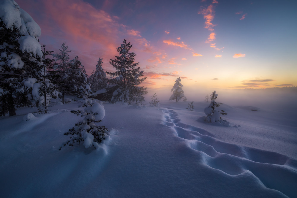 Winter Steps von Ole Henrik Skjelstad