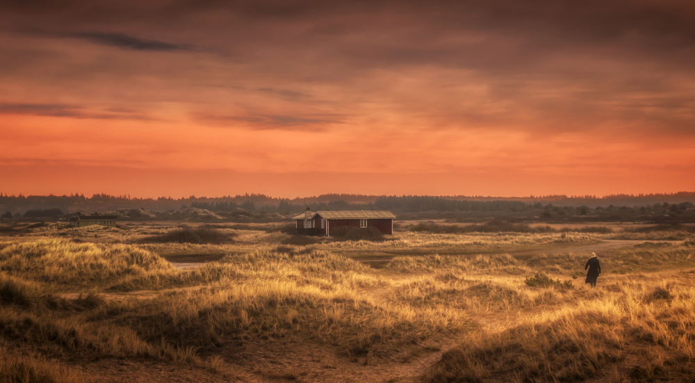 Into the Sunset von Ole Moberg Steffensen