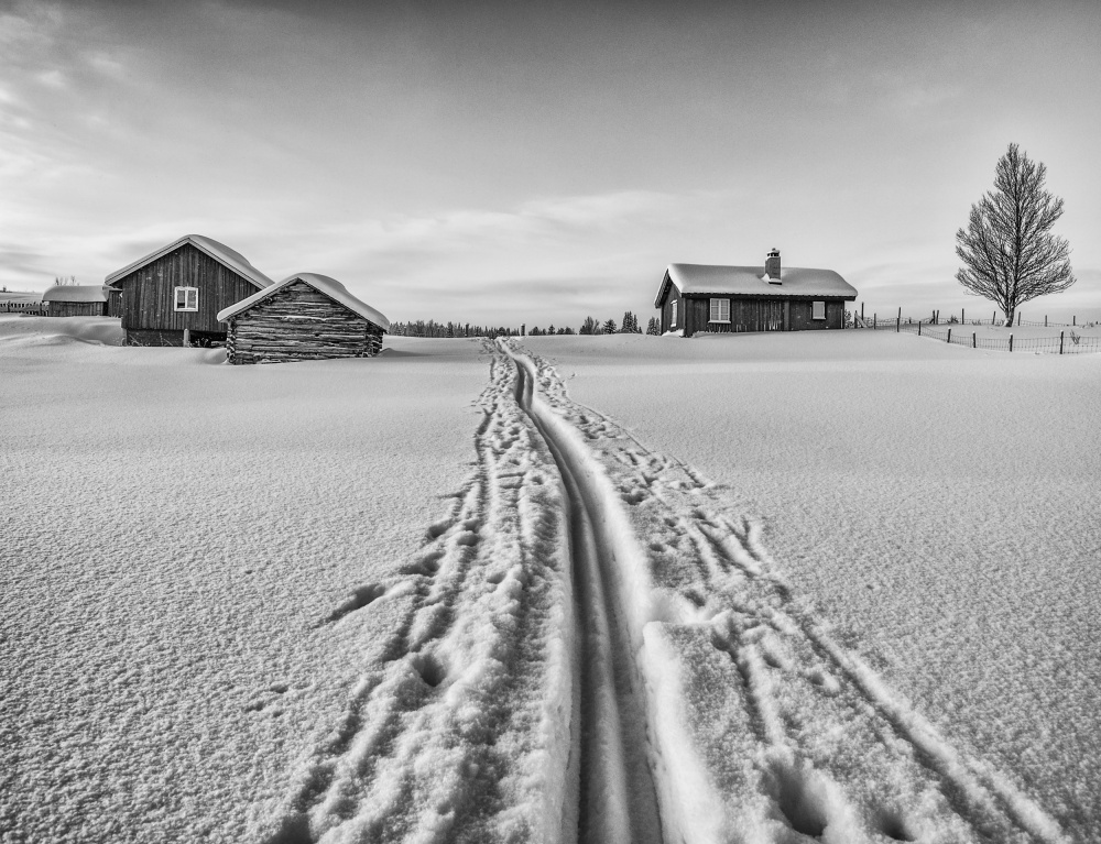 The winter is here - Norway von Ole Walter Sundlo