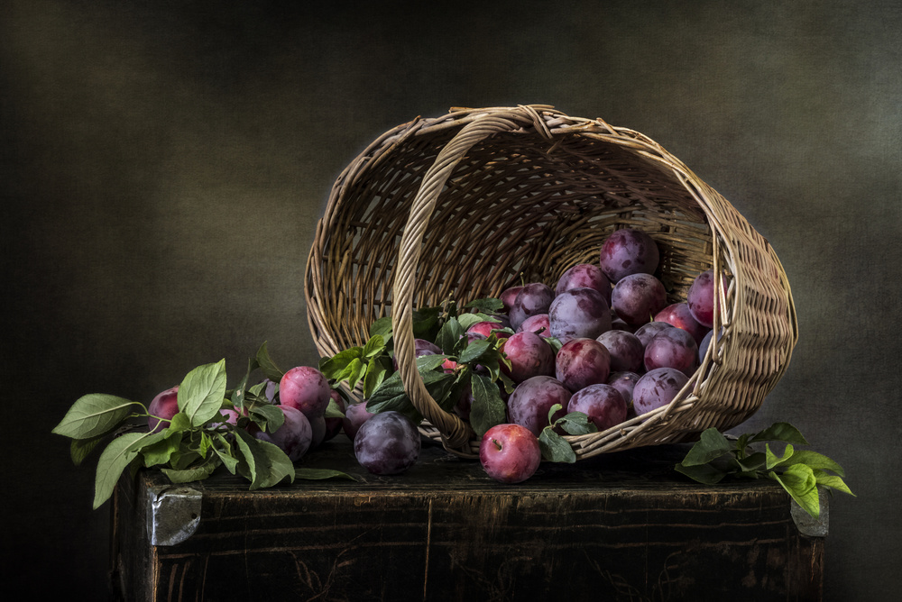 Plums von Olga Aleksandrovna