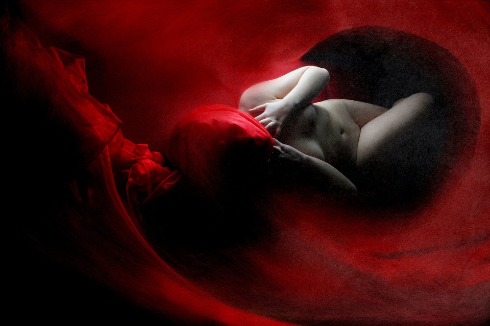 into the Red von Olga Mest