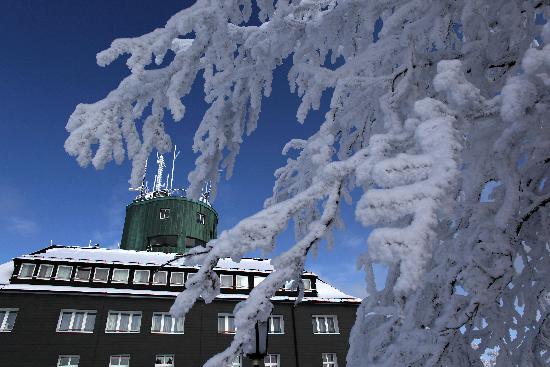 Kahler Asten im Schnee von Oliver Berg