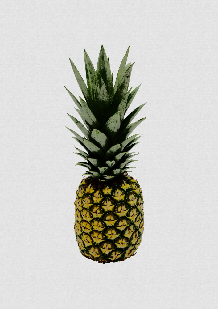 Pineapple von Orara Studio