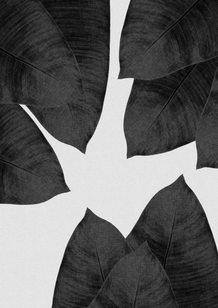 Banana Leaf Black & White I von Orara Studio