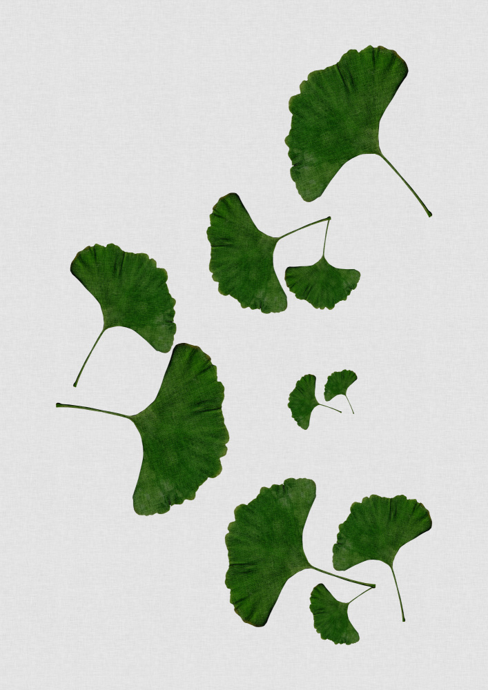 Ginkgo Leaf I von Orara Studio