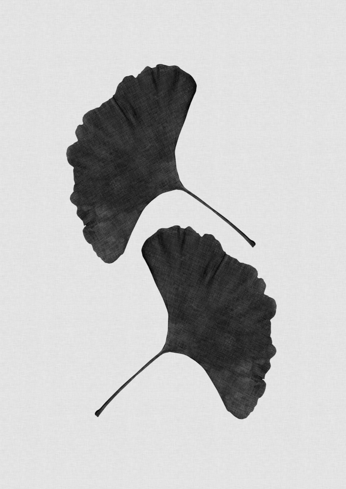 Ginkgo Leaf Black &amp; White II von Orara Studio