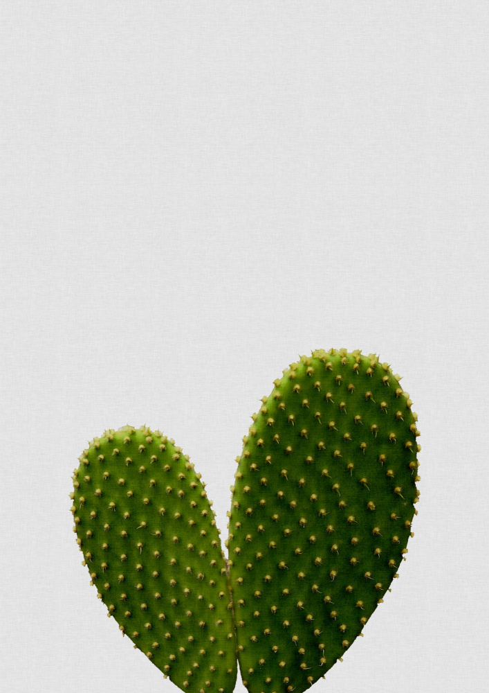 Heart Cactus von Orara Studio