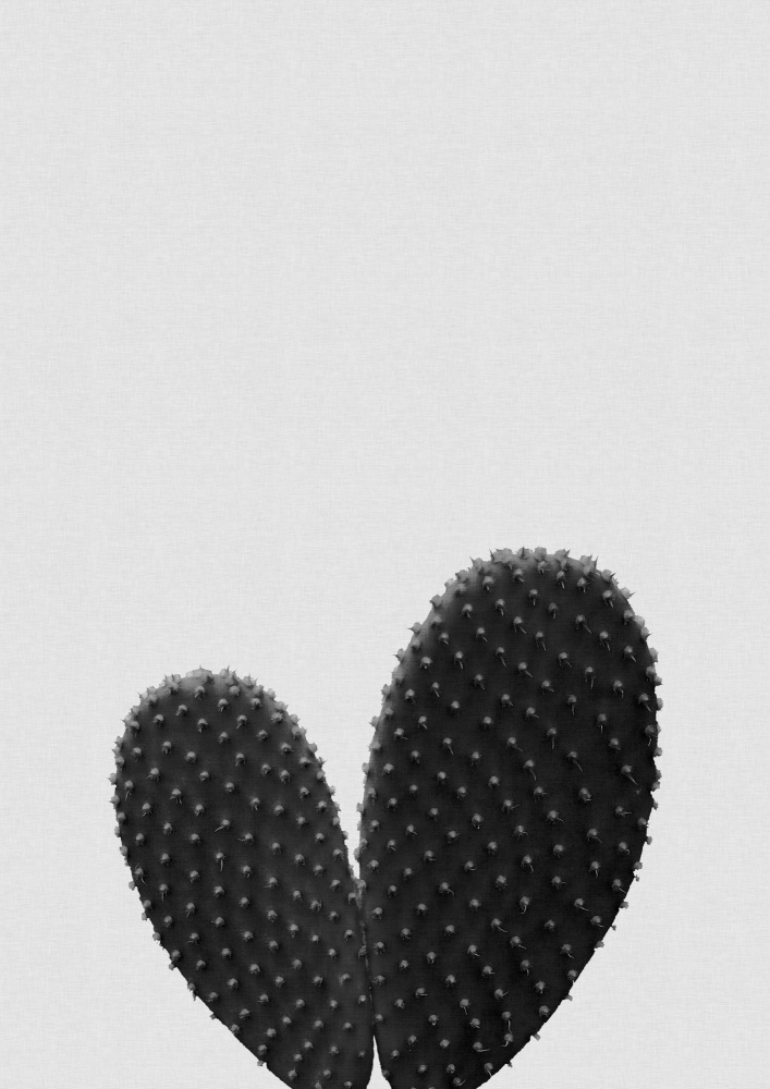 Heart Cactus Black & White von Orara Studio