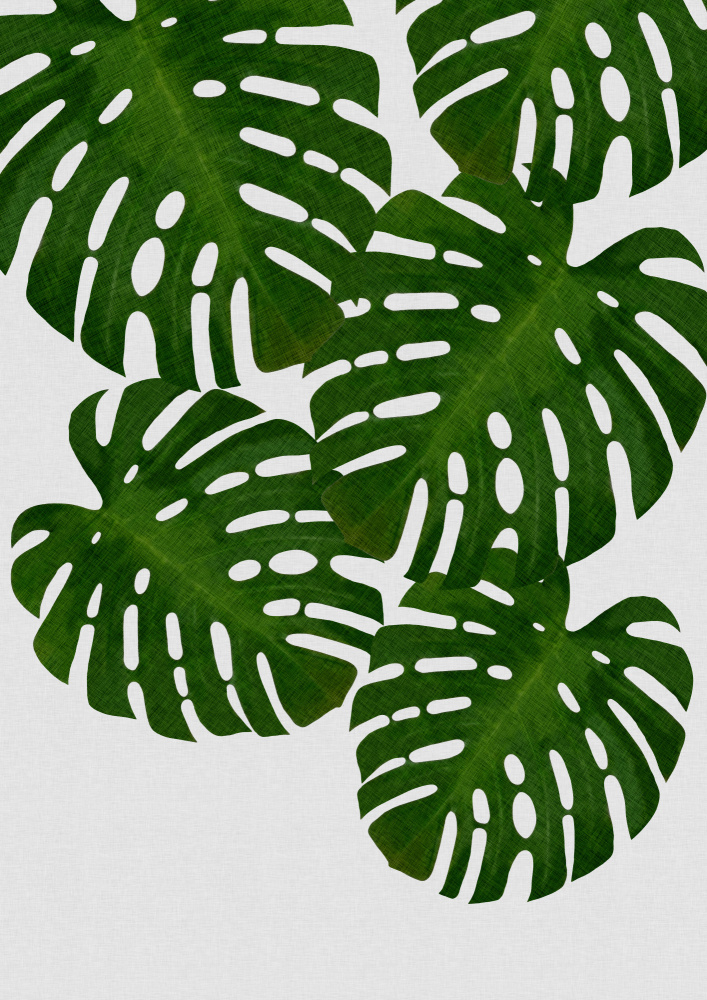 Monstera Leaf I von Orara Studio