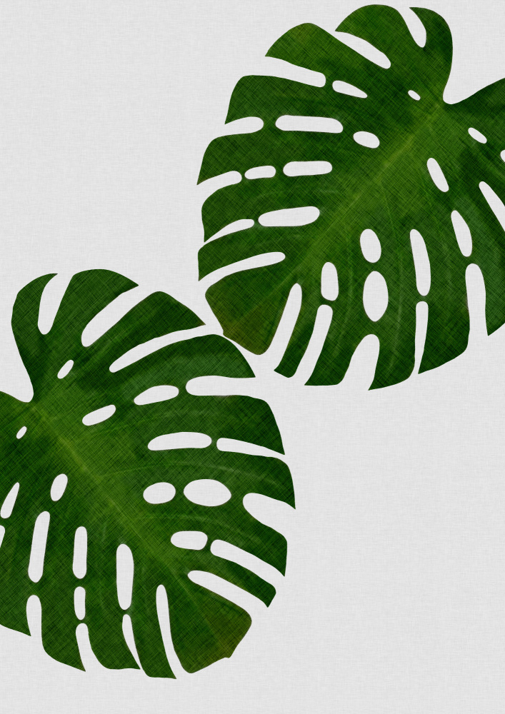 Monstera Leaf II von Orara Studio