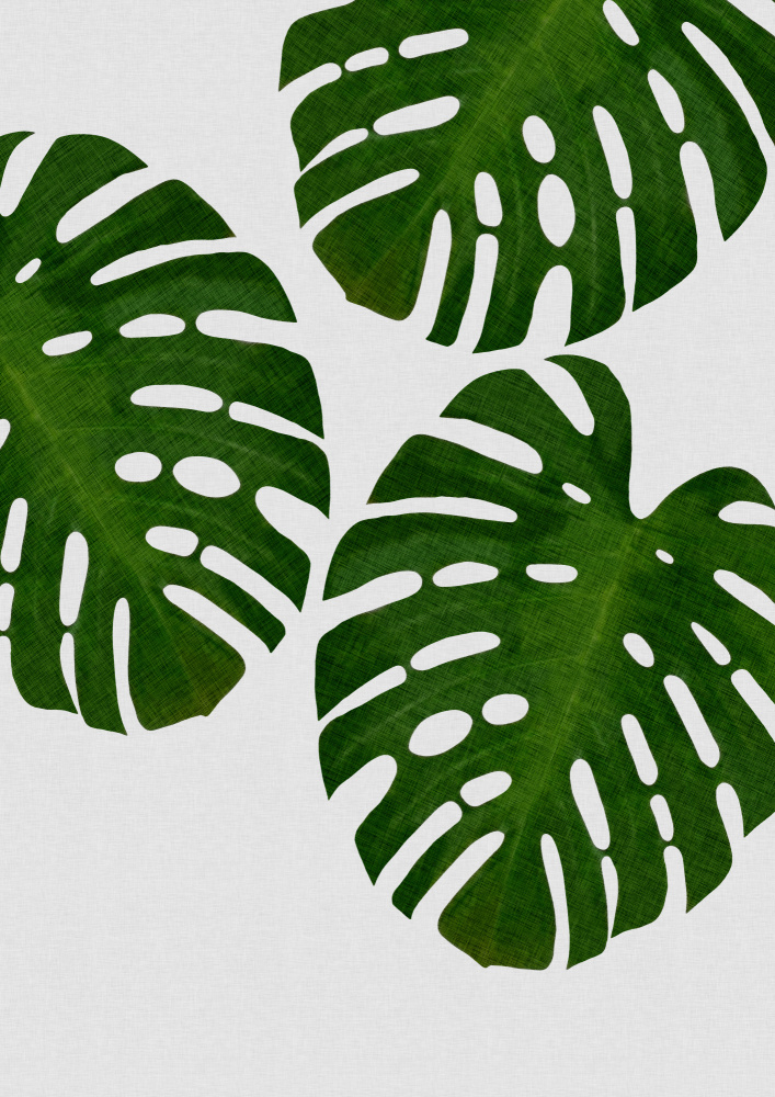 Monstera Leaf III von Orara Studio