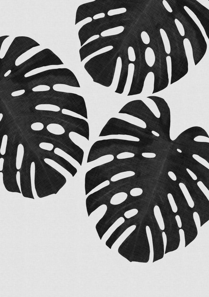 Monstera Leaf Black &amp; White III von Orara Studio