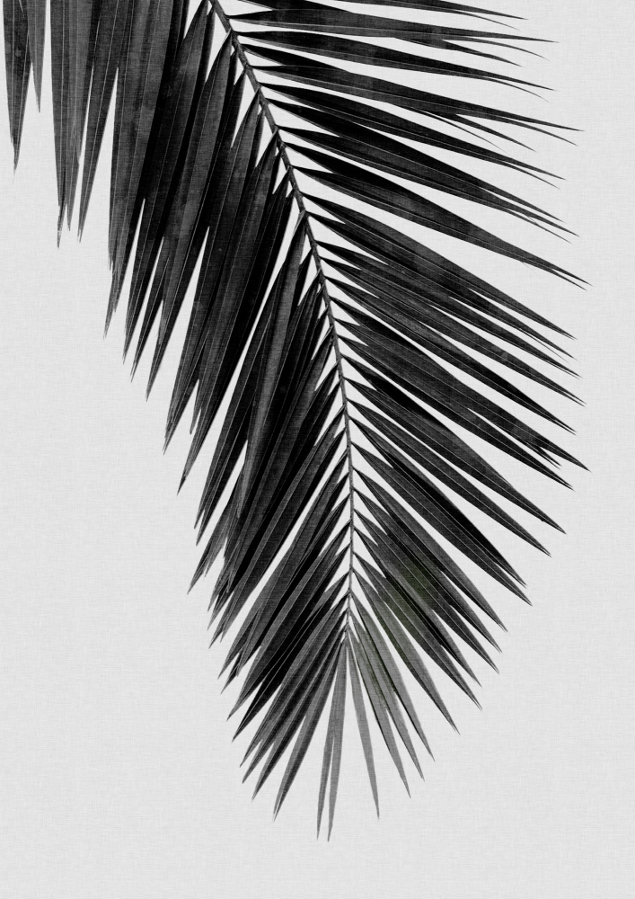 Palm Leaf Black & White I von Orara Studio