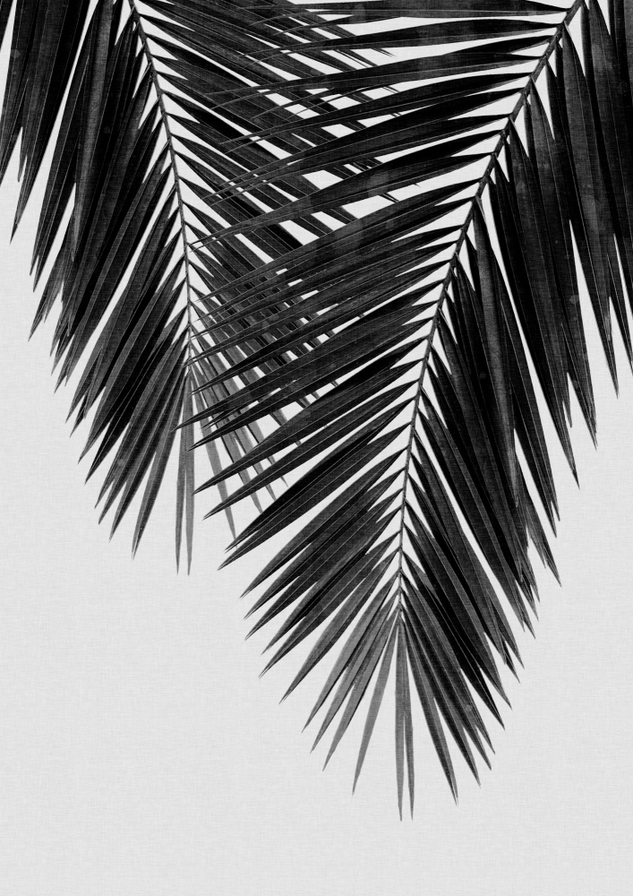 Palm Leaf Black &amp; White II von Orara Studio