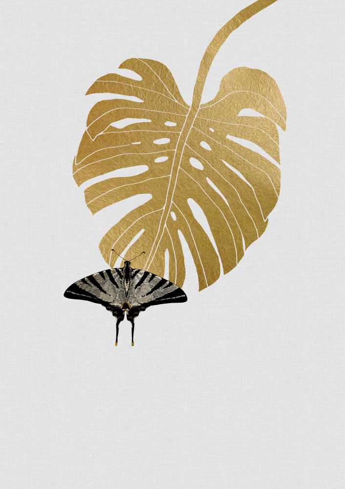 Butterfly & Monstera Leaf von Orara Studio