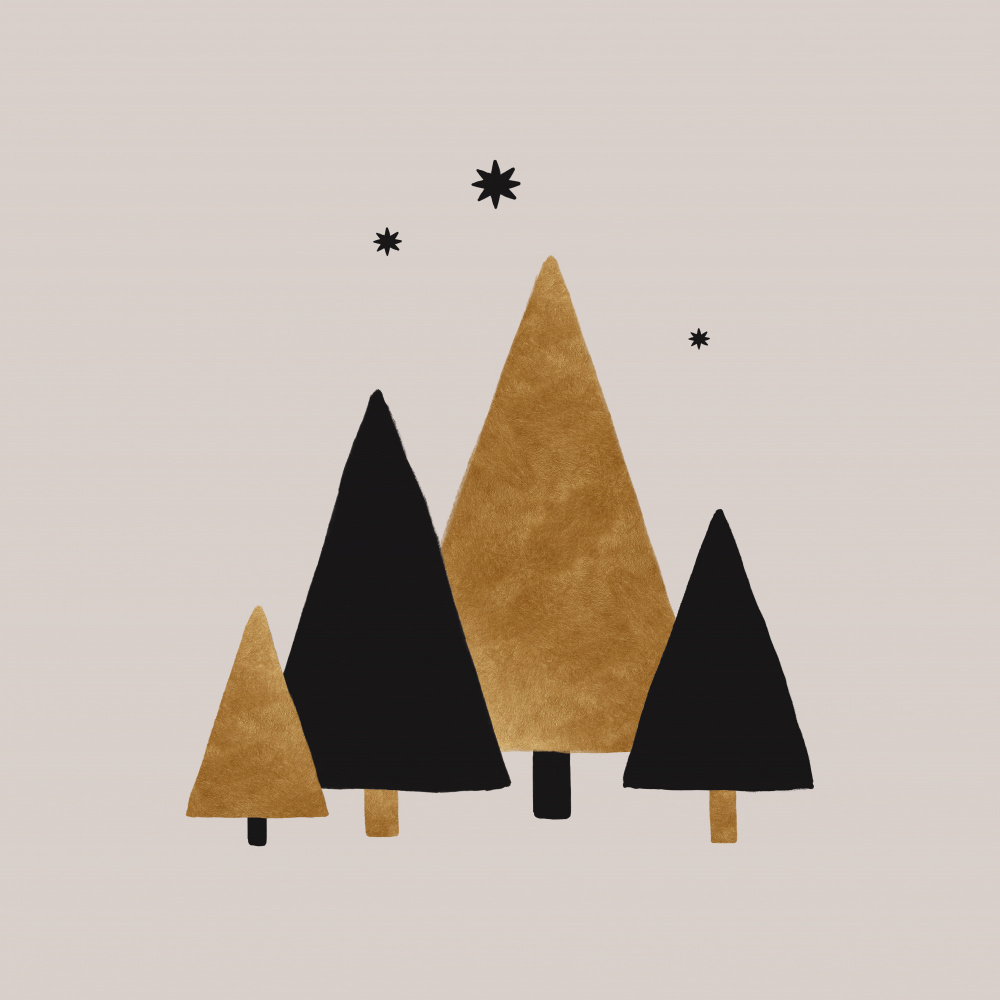 Xmas Trees & Stars von Orara Studio