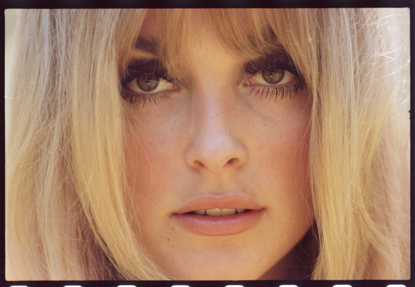 Sharon Tate von Orlando Suero