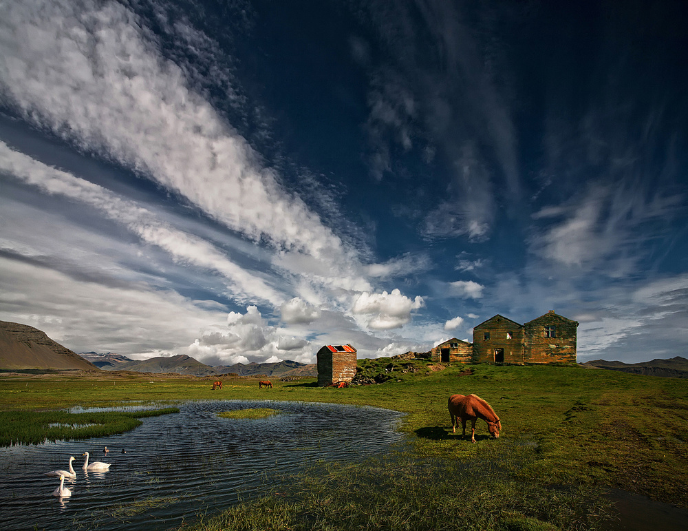 Country Life von Þorsteinn H. Ingibergsson