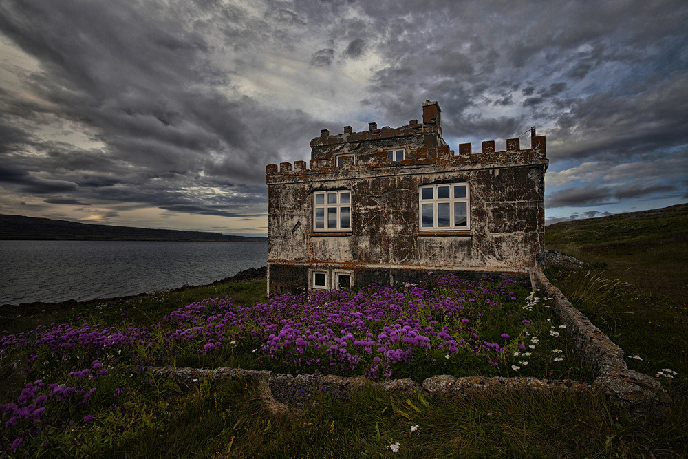 Purple Yard von Þorsteinn H. Ingibergsson