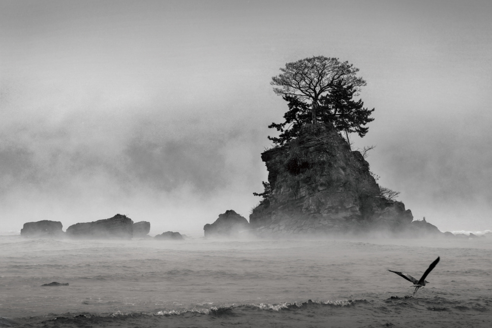 on a cold morning von Osamu Hayashi