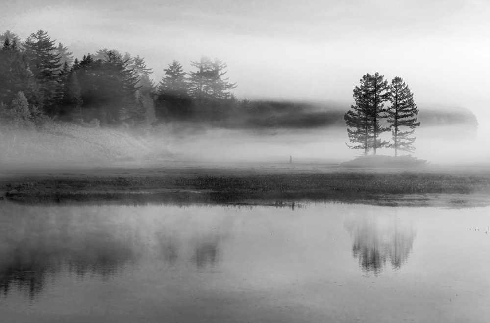 in a foggy morning von Osamu Hayashi