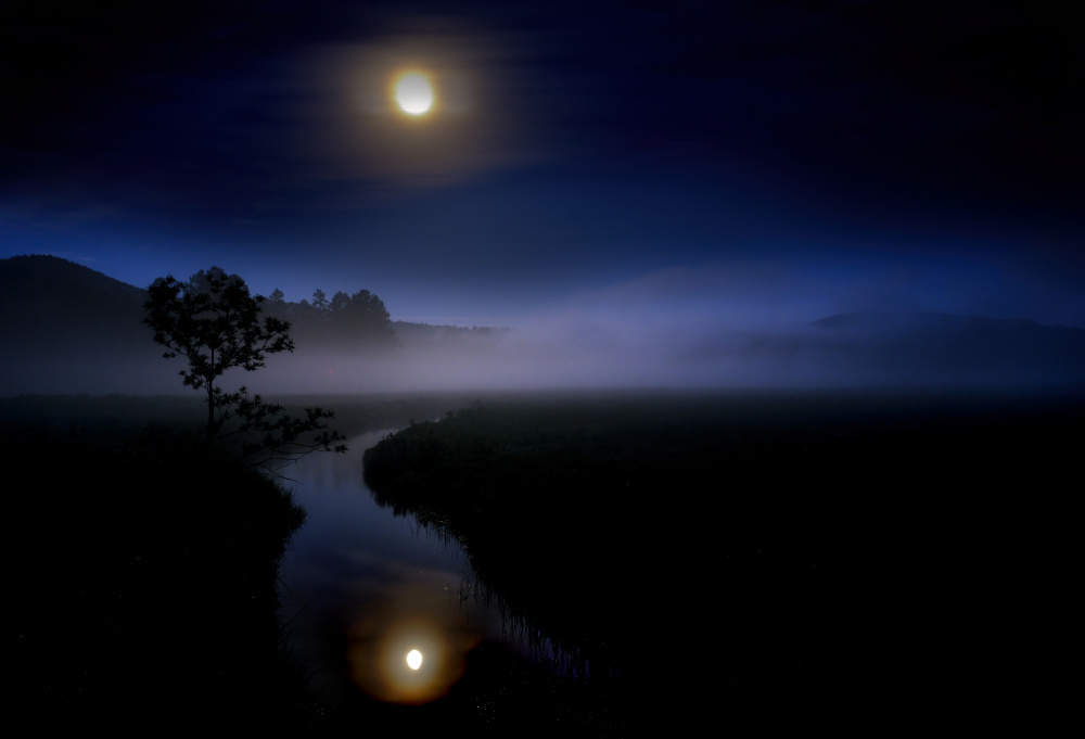 Banquet in the swamp lit by the Buckmoon von Osamu Hayashi