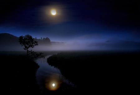 Banquet in the swamp lit by the Buckmoon