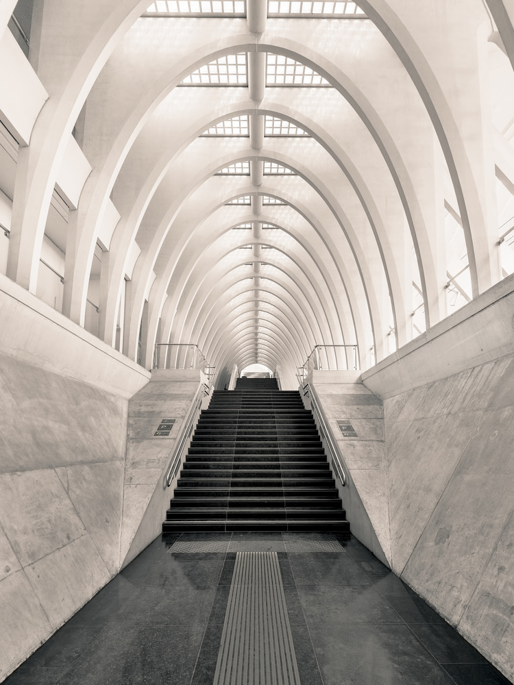 Inside Calatrava von Oscar Lopez