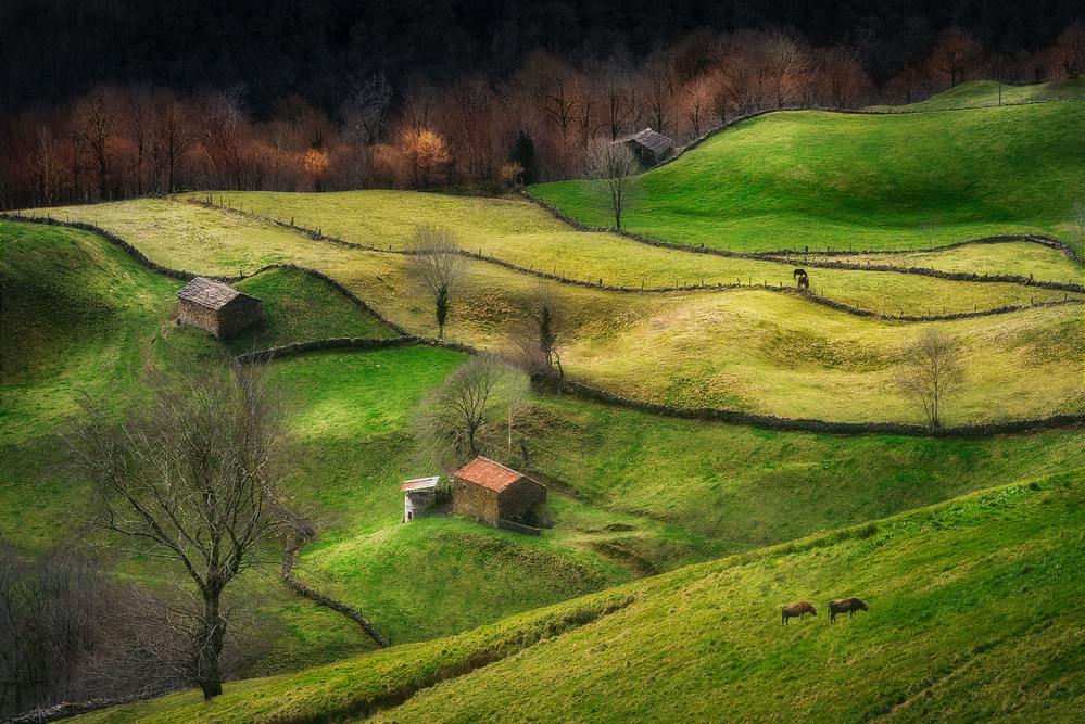 Rural Life von Oskar Baglietto