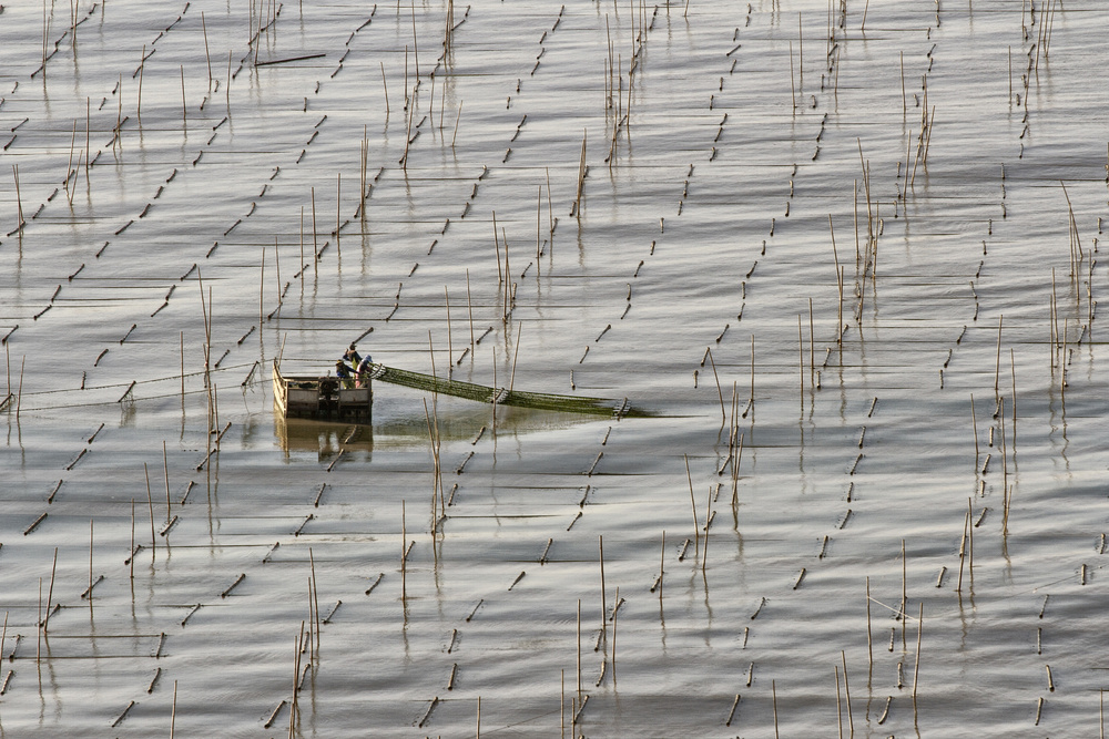 fisherman von Ozlem Buyukevren