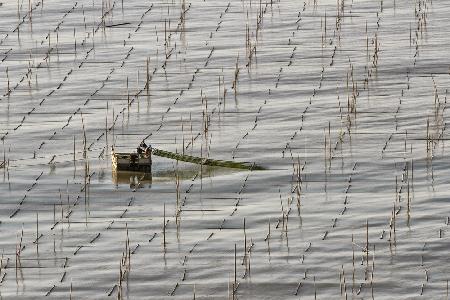 fisherman