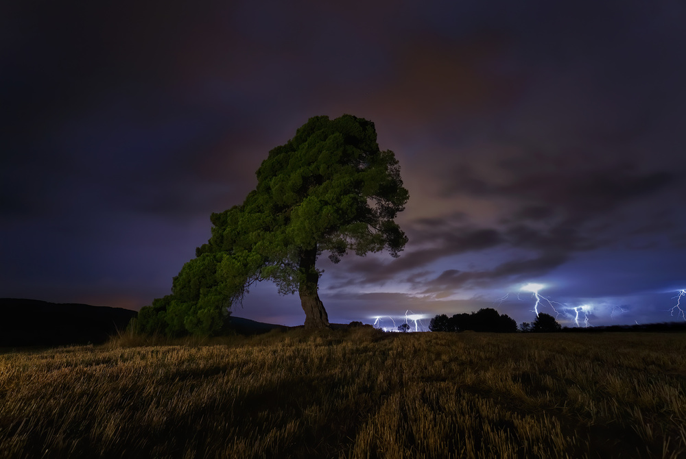 Summer Storm von Paco Herrero