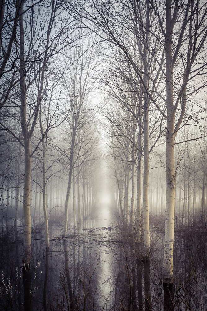 Silence Cross von Pamela Doretti