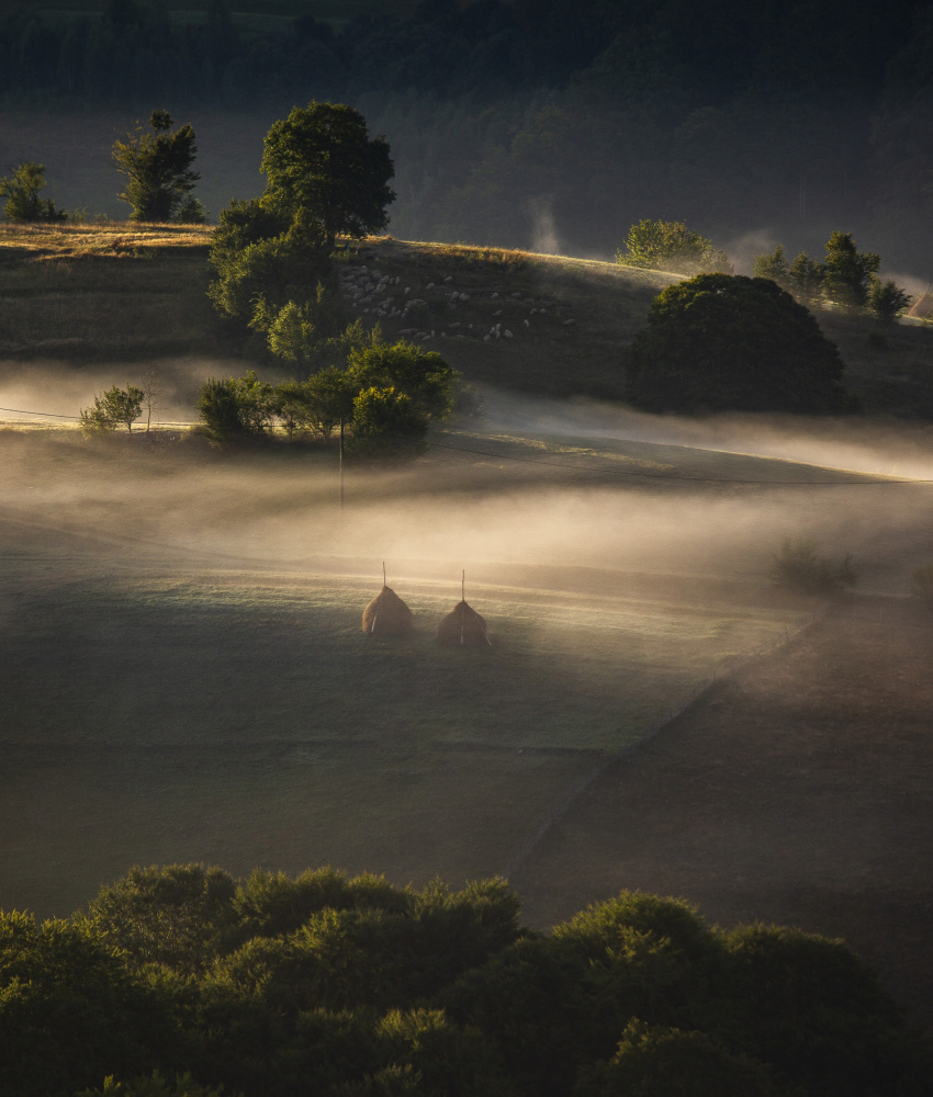 Life in the countryside von Panaana