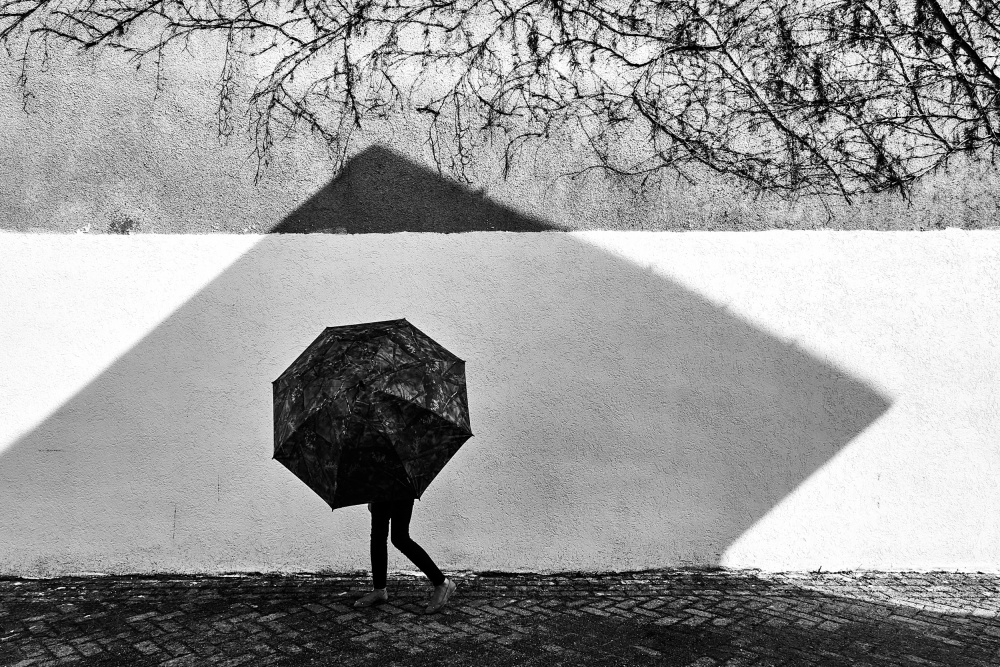 Shadow Geometry von Panfil Pirvulescu