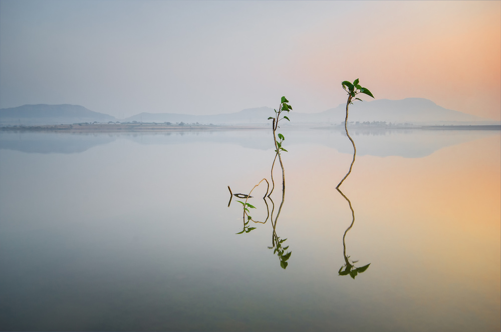 Reflection of Life von Pankaj Dhande