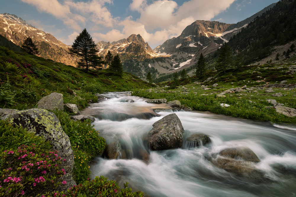 Maritime Alps Park von Paolo Bolla