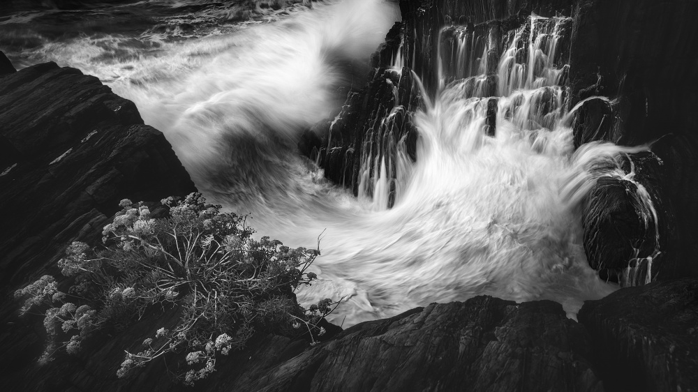 CLUNG TO THE ROCK von Paolo Lazzarotti