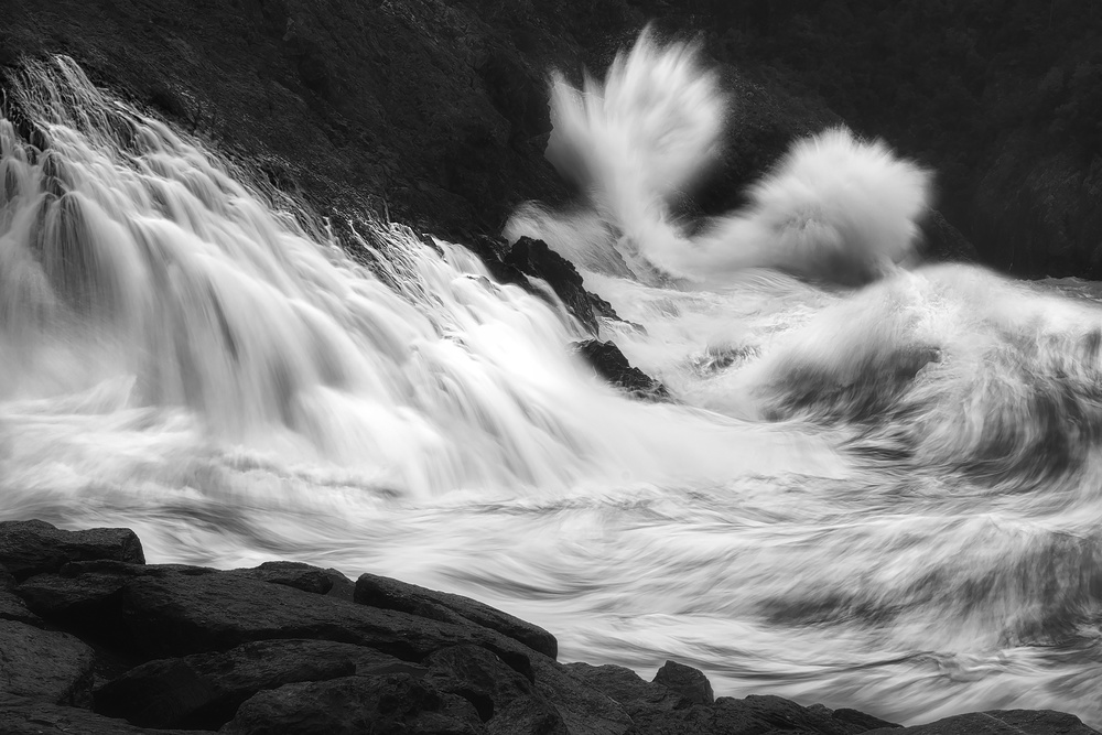 UP AND DOWN von Paolo Lazzarotti