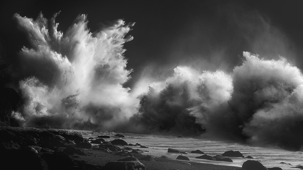 THE TREE OF WATER von Paolo Lazzarotti