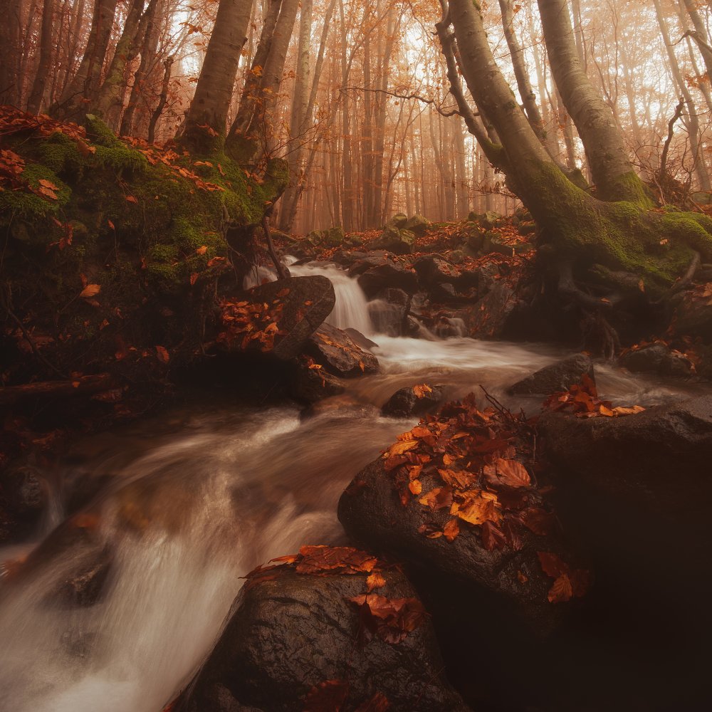 FALLING WATER ON AUTUMN (Part 2) von Paolo Lazzarotti