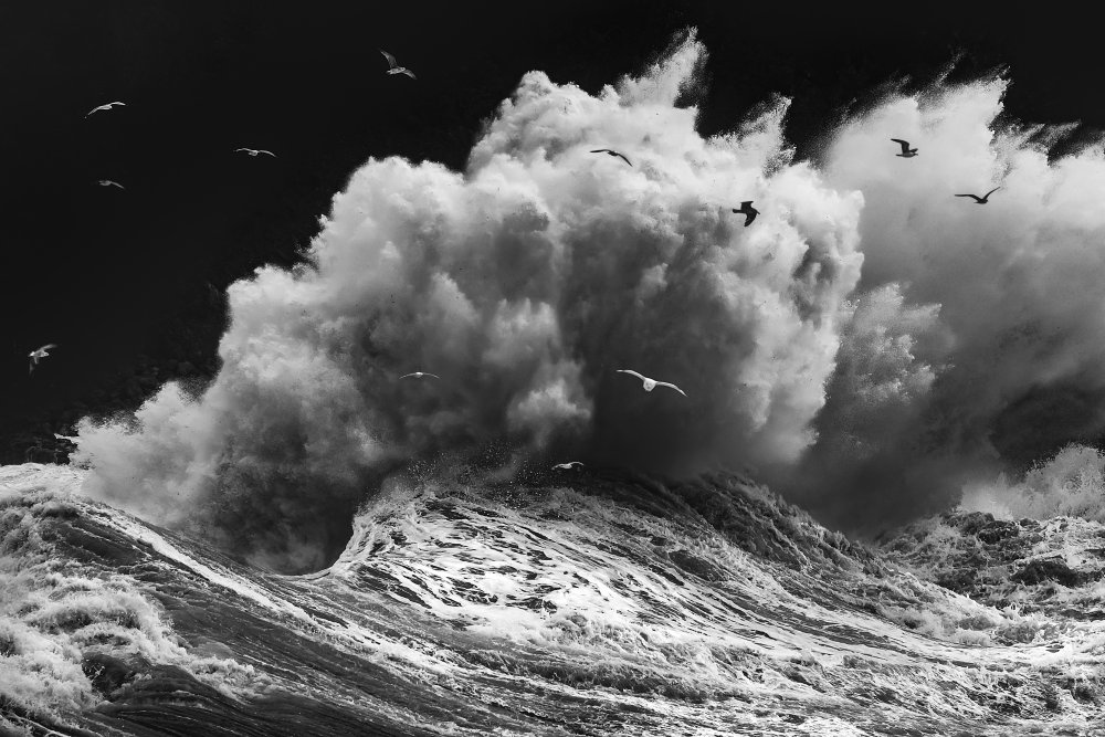 BIRDS IN THE STORM (Part 1) von Paolo Lazzarotti