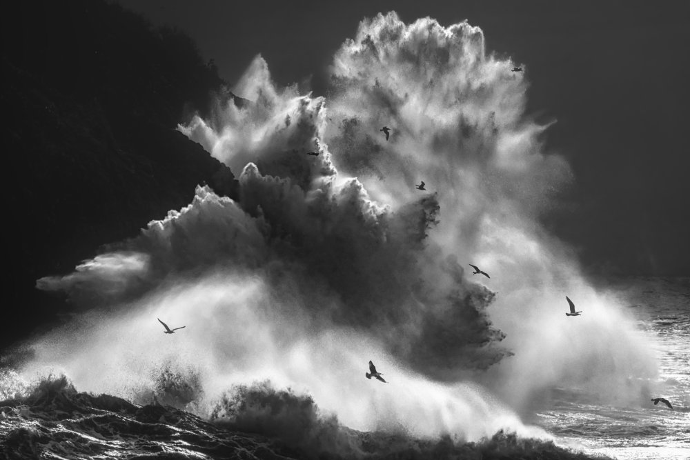 BIRDS IN THE STORM (Part 8) von Paolo Lazzarotti