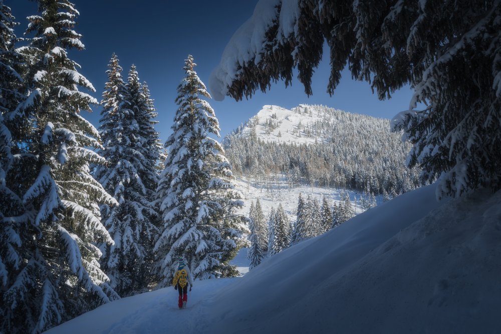 Fairytale glimpse von Paolo Novello