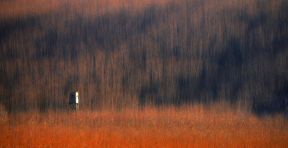 Wicker Fields von Paralaxa