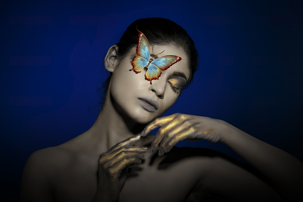 THE BUTTERFLY GIRL von PARTHA BHATTACHARYYA