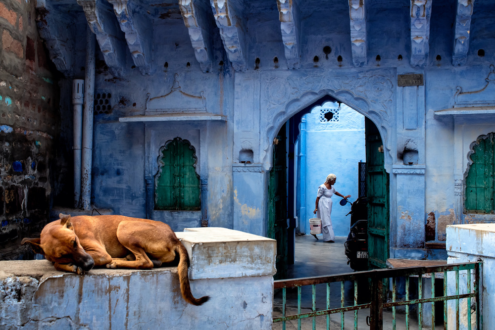 A morning at Jodhpur the Blue city von Partha Sarathi Dalal