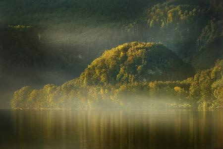 Foggy lake