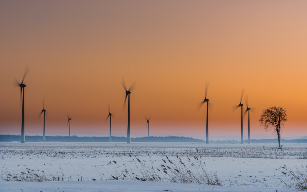 Wind turbines an a lonely tree von Patrick Dessureault